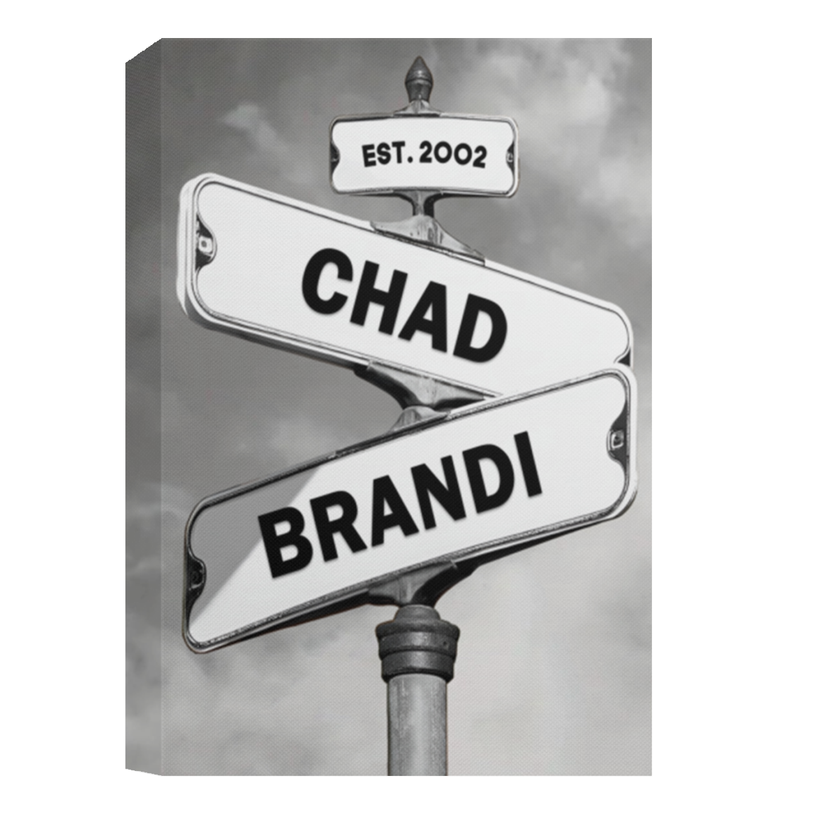 16x24CHAD HAWKINS(cv)