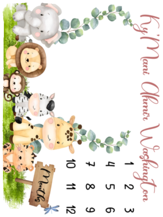 30x40Meeshay James 1