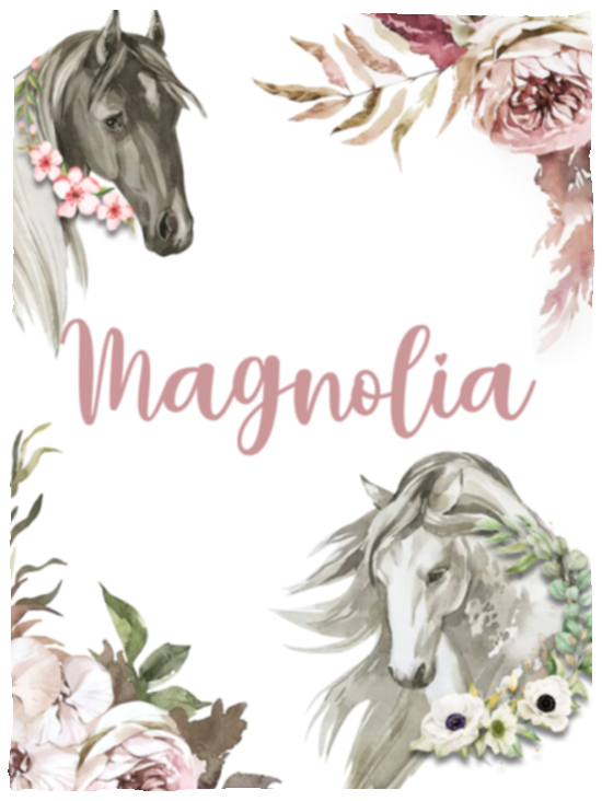 30x40Magnolia Zagoric