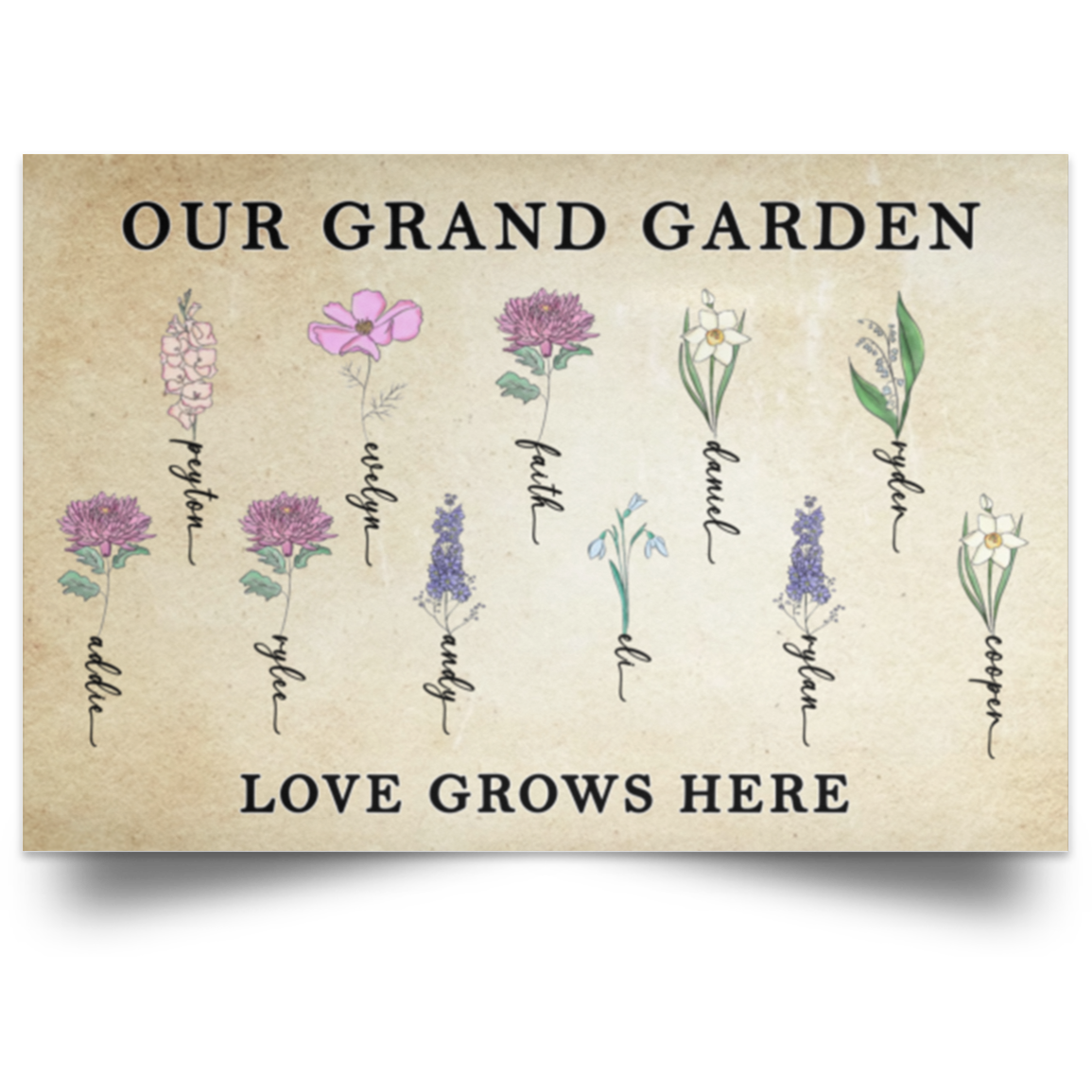 12x18Shelley Ferguson