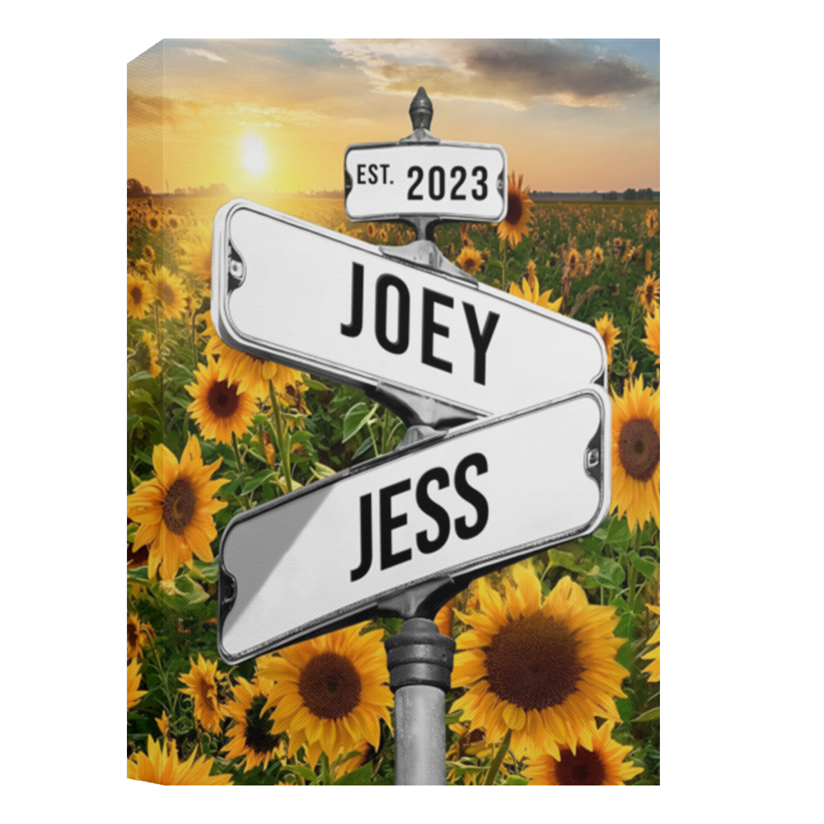 12x18Joseph Driscoll(cv)