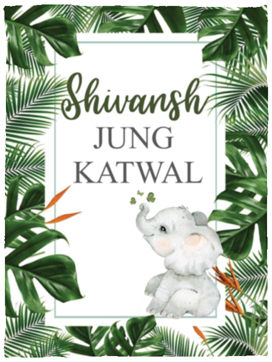 30x40Rachana Niroula