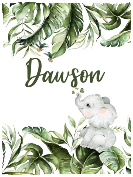 30x40susan williamson