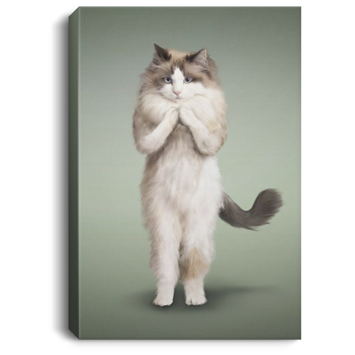 200818EE Yoga Pose Ragdoll Cat Wall Art Canvas Custom Awesome Birthday Christmas Ideas Great Gift Decoration 8x12 12x18 16x24