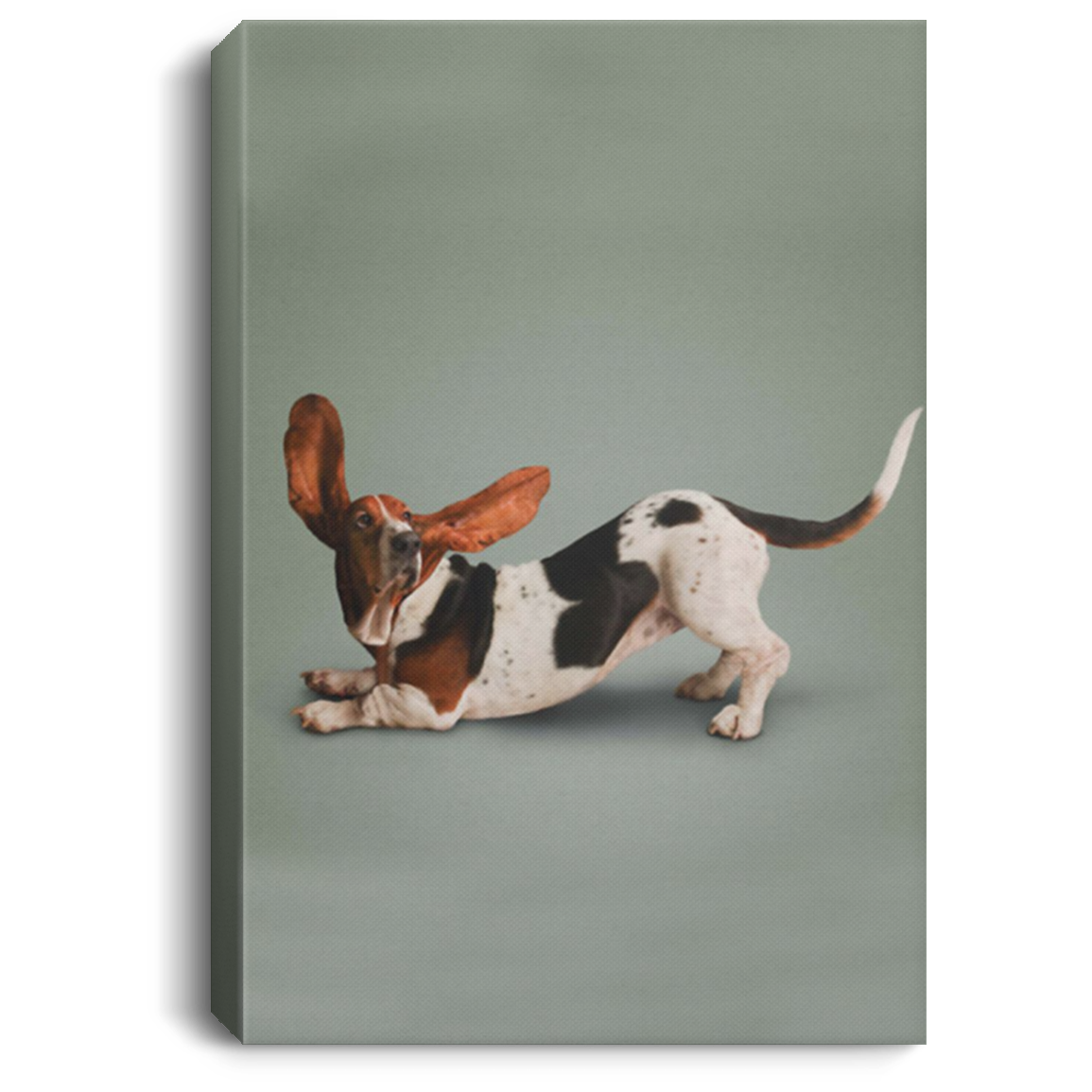 200818EE Yoga Pose Basset Hound Dog Canvas Wall Art For Living Room Bedroom Office Awesome Birthday Christmas Ideas Great Gift Decoration 8x12 12x18 16x24