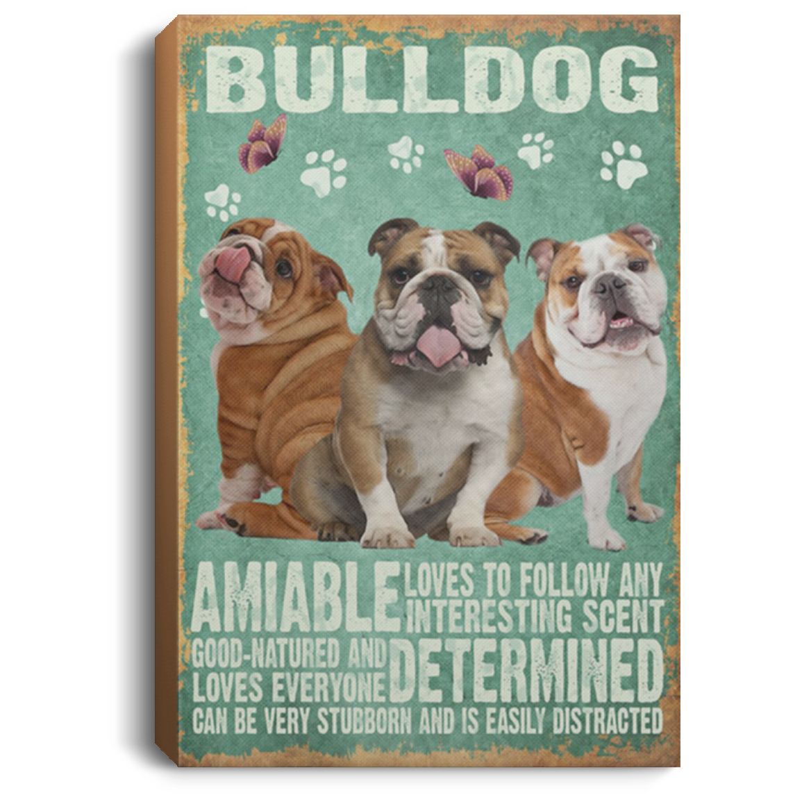200822H Bulldogs Amiable Canvas Wall Art Print Poster Gift For Men Women Wrapped Ready To Hang 8x12 12x18 16x24