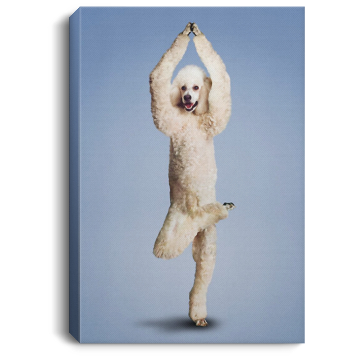 200818EE Yoga Pose Poodle Dog Canvas Wall Art For Living Room Bedroom Office Awesome Birthday Christmas Ideas Great Gift Decoration 8x12 12x18 16x24
