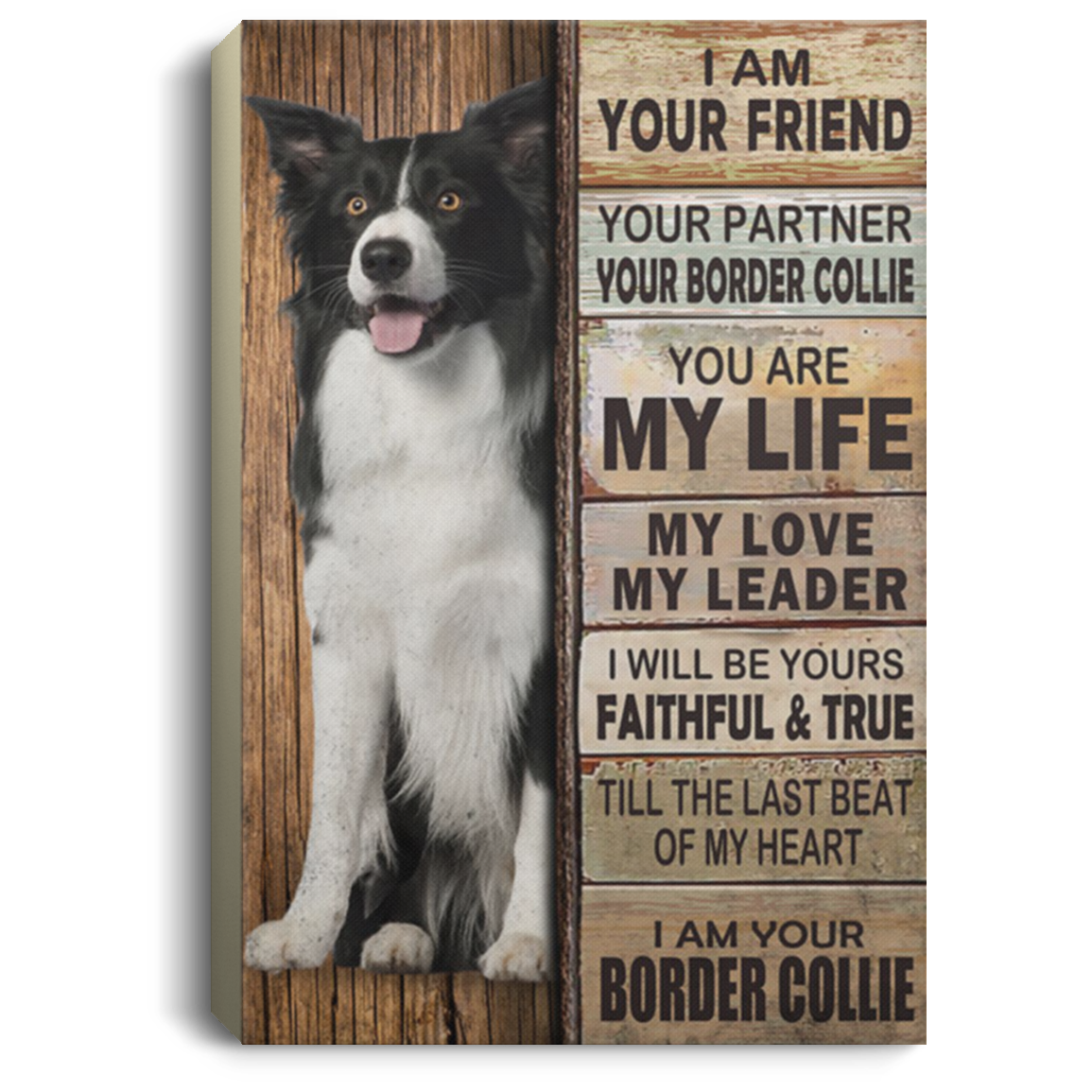 200825G Border Collie Dog Wall Art Canvas For Living Room Bedroom Perfect Birthday Christmas Ideas Great Gift Decoration 8x12 12x18 16x24