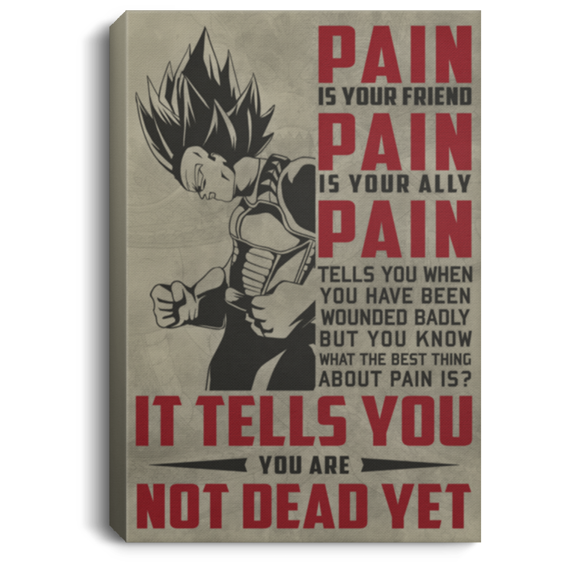 AAA200704 Vegeta Vintage Poster Canvas Wall Art Pain Is Your Friend You Are Not Dead Yet 8x12 12x18 16x24