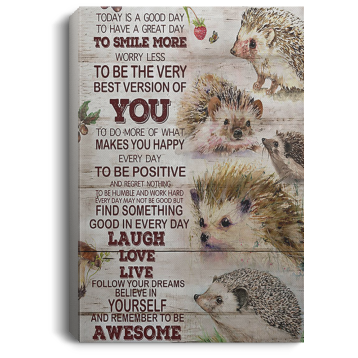 200818EE Motivational Canvas Wall Art Today Is A Good Day Hedgehog Awesome Birthday Christmas Ideas Great Gift Decoration 8x12 12x18 16x24