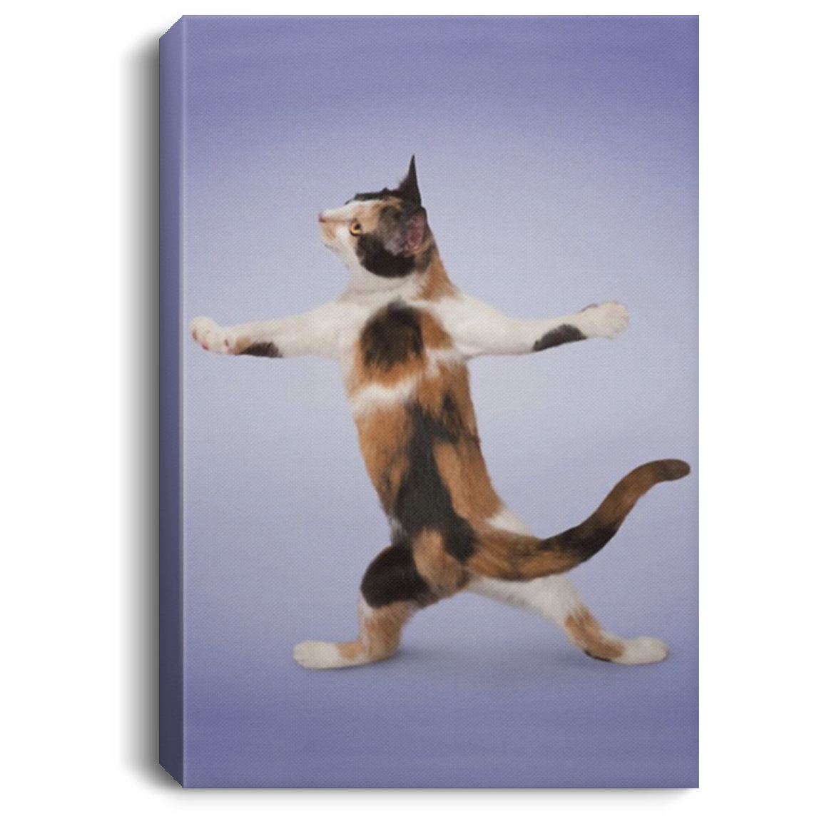 200818EE Yoga Pose Calico Cat Wall Art Canvas Custom Awesome Birthday Christmas Ideas Great Gift Decoration 8x12 12x18 16x24