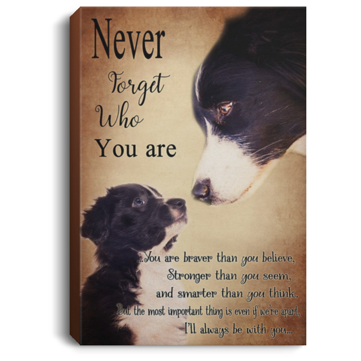 200825G Never Forget Who You Are Border Collie Canvas Wall Art For Living Room Bedroom Perfect Birthday Christmas Ideas Great Gift Decoration 8x12 12x18 16x24