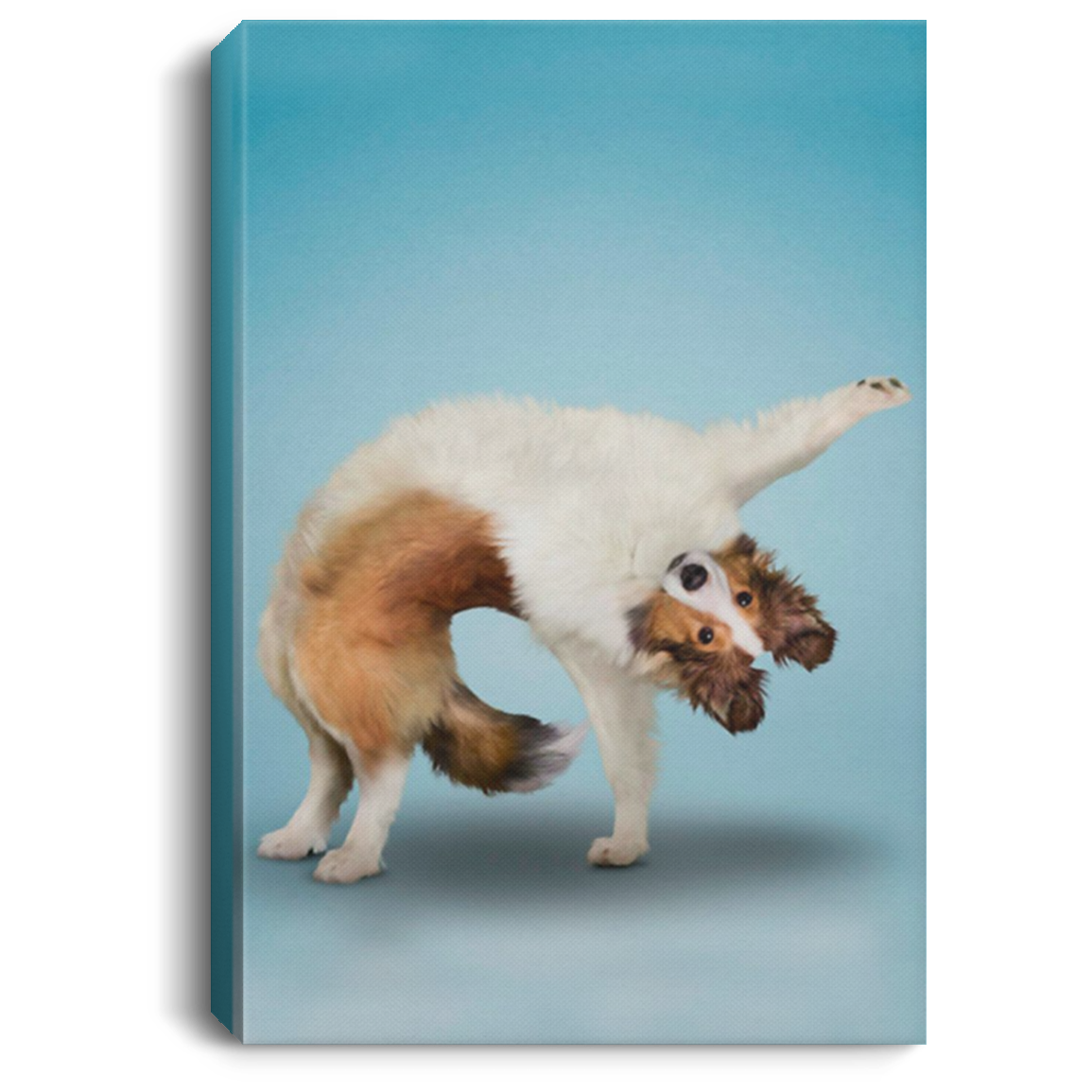 200818EE Yoga Pose Shetland Sheepdog Canvas Wall Art For Living Room Bedroom Office Awesome Birthday Christmas Ideas Great Gift Decoration 8x12 12x18 16x24