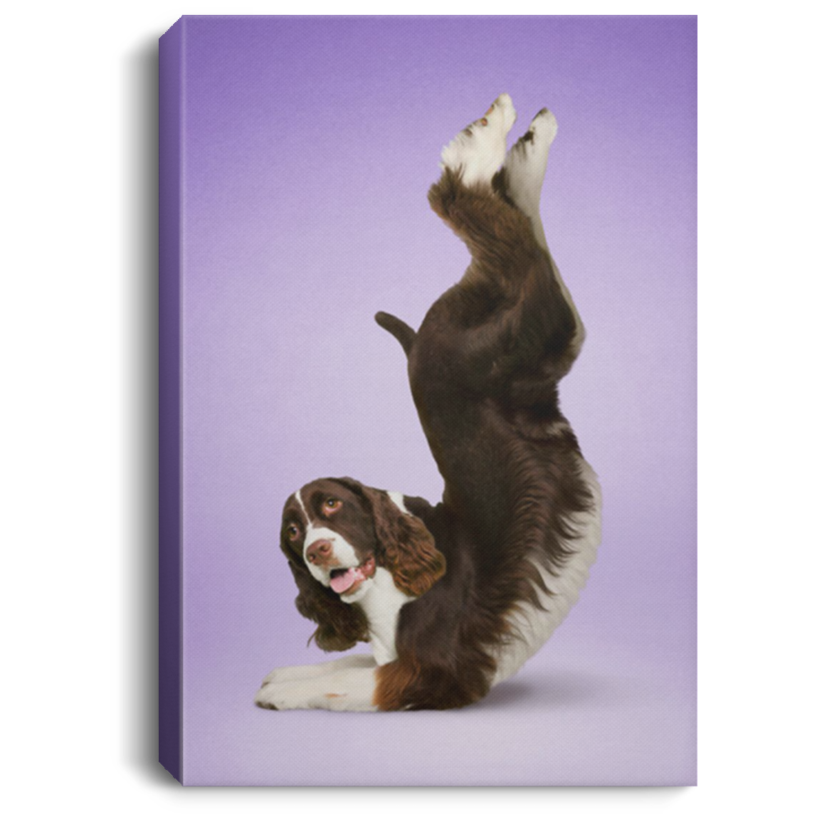 200818EE Yoga Pose English Springer Spaniel Dog Canvas Wall Art For Living Room Bedroom Office Awesome Birthday Christmas Ideas Great Gift Decoration 8x12 12x18 16x24