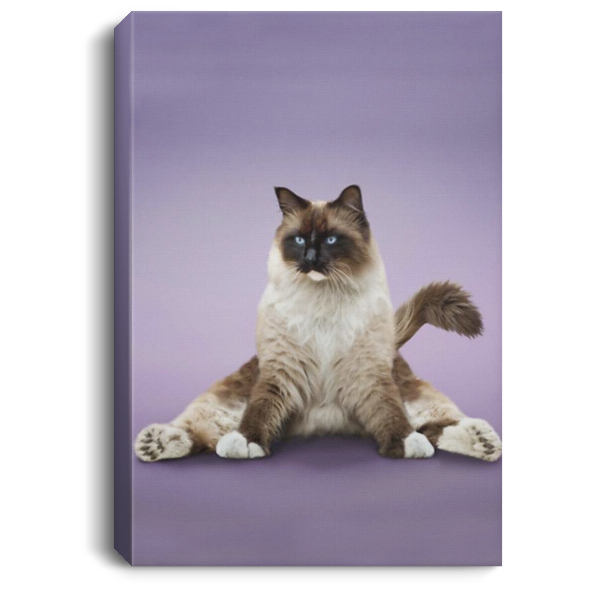 200818EE Yoga Pose Himalayan Cat Wall Art Canvas Custom Awesome Birthday Christmas Ideas Great Gift Decoration 8x12 12x18 16x24
