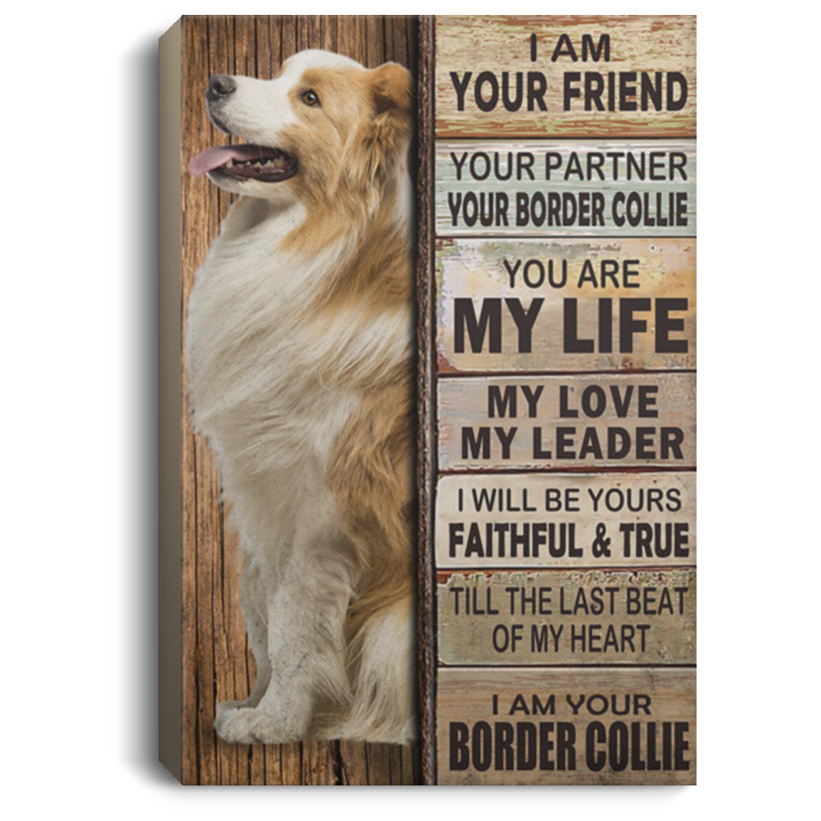 200825G Border Collie Dog Wall Art Canvas For Living Room Perfect Birthday Christmas Ideas Great Gift Decoration 8x12 12x18 16x24