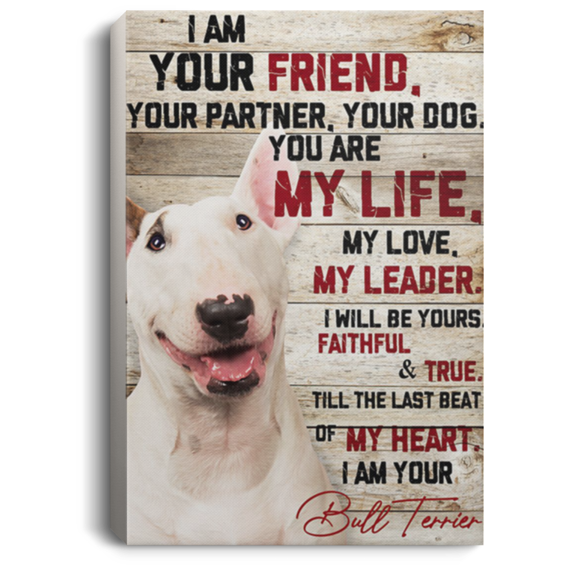 200822H Bull Terrier Friend Partner Canvas Art Wall Decor For Bedroom Living Room Wrapped Ready To Hang 8x12 12x18 16x24
